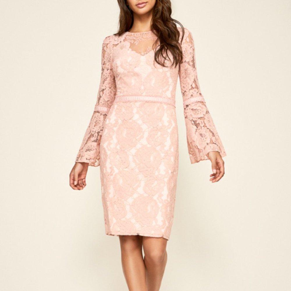 💫Tadashi Shoji Olivier Dress In Rose - NWT! (4)💫